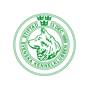 Rasdata